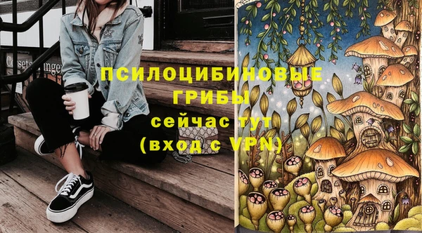 метадон Арсеньев