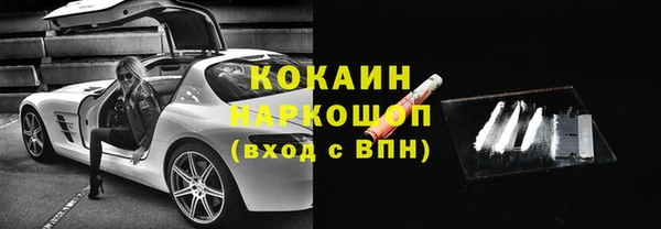 ГАЛЛЮЦИНОГЕННЫЕ ГРИБЫ Аркадак