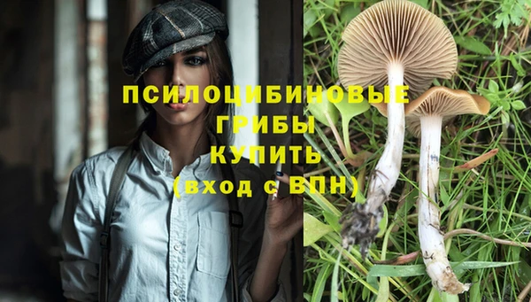 мескалин Белокуриха