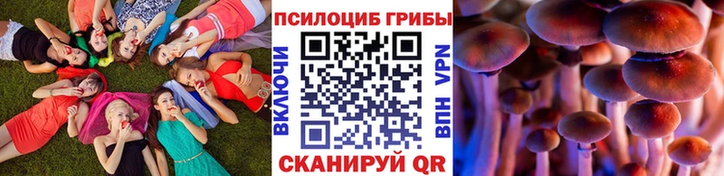 Галлюциногенные грибы MAGIC MUSHROOMS  darknet состав  Судак 
